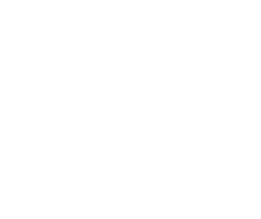 Funerel modena